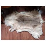 Living Room:  Wolf Pelt