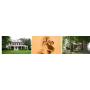 Memorial Day Weekend - St. Matthews Living Estate of Deacon Stephan Phelps