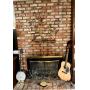 Banjo and Fender Guitar