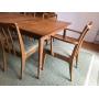 Mid Century Modern Ypsilanti Estate Sale