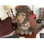 Mid Century/Danish Modern, Original Art, Studio Pottery and More!