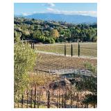 wine country in Temecula