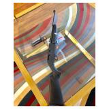 760 Pumpmaster Air Rifle