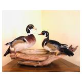 Mounted Taxidermy Wood Ducks