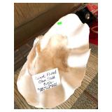Giant Fluted Clam Shell (Tridacna)