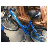 Schwinn Bike
