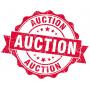 AUCTION!!!!