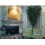An Elegant Pier One like items for Sale at affordable prices