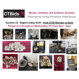 Auction 13 Rocks Jewelry Art and Decor Auction