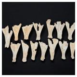 Lot Of 12 Cow Or Deer Bones With Chinese Calligraphy