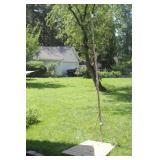 Cranford Estate Sale