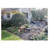 Westfield Estate Sale - Estate Sales By Olga