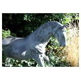 Westfield Estate Sale by Estate Sales By Olga