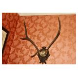 Estate Sale By Olga in Summitt, NJ