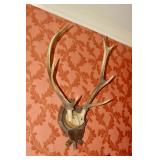 Estate Sale By Olga in Summitt, NJ