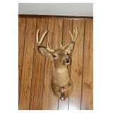 Estate Liquidation by EstateSalesByOlga