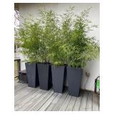 Estate Sales By Olga liquidating MCM House in Manalapan, NJ