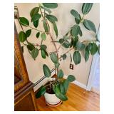 Bayonne, NJ Estate Sale By Olga