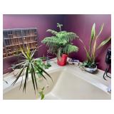 Estate Sales By Olga in Flemington, NJ