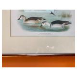 EstateSalesByOlga is in Randolph, NJ