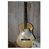 Bass Guitar, Guitars