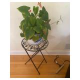 Millington / Longhill, NJ Sale by Estate Sales By Olga