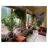 Cranford Estate Sale 2023