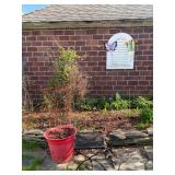 Estate Sales By Olga in South River, NJ