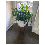 Estate Sales By Olga in Montclair, NJ