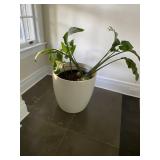 Estate Sales By Olga in Montclair, NJ