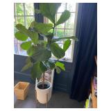 Estate Sales By Olga in Montclair, NJ