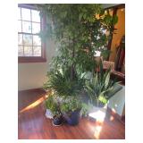 Estate Sales By Olga in Cranford, NJ