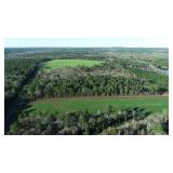 Sabine County Timberland Auction