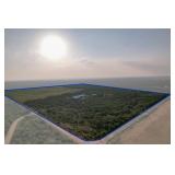 117+/- Acres in Trent TX at AUCTION