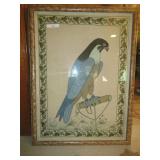 VINTAGE PARROT WATERCOLOR EXECUTOR SAYS FAMILY PAID 6K IN EUROPE NO SIGNATURES 36" X 49"