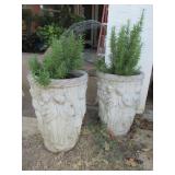 CONCRETE PLANTERS WITH LIVE ROSEMARY AND BEAUTIFUL ROMAN DESIGNS