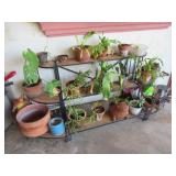 PATIO 3 LEVEL PLANT STAND WITH APPROX. 17 LIVE PLANTS 87" X 23" X 30"