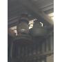 Lori's Estate - Springtown/Paradise