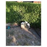 Lori's Estate Sales