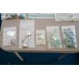 Sanctuary Sale managed by China Cat estate