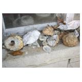 HOUSE ~ GEODES