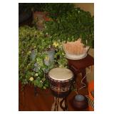 LOADS OF LIVE PLANTS