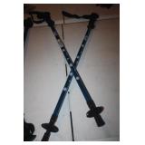 SNOW / WALKING STICKS