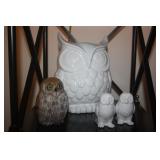 OWL COLLECTION
