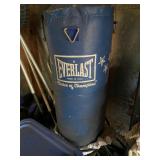 Everlast punching bag and weights