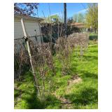 4 - ring extra large tomato cages heavy duty