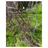 4 - ring extra large tomato cages heavy duty