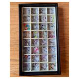 jewelry - straight & curved barbells body piercings