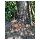 metal frame for picnic table