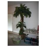 HUGE 7 FT ? PALM TREE